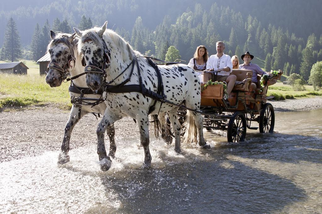 Gasthof Enzian ทันน์ไฮม์ ภายนอก รูปภาพ